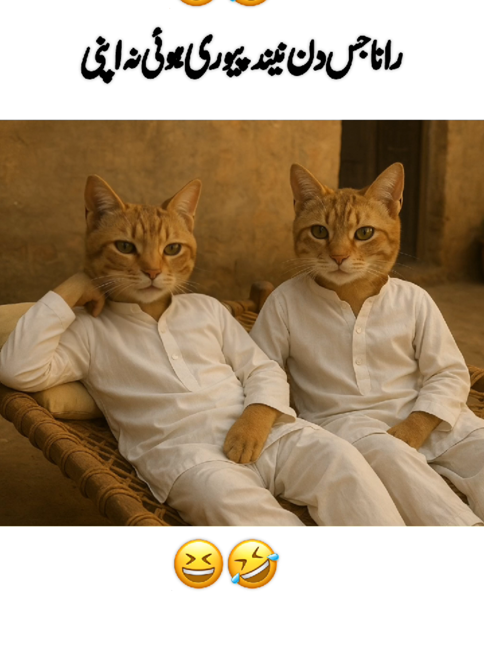 Dear TikTok team please support my content and viral my video|• #song #funnycatsoftiktok #foryou #foryoupage #viral 