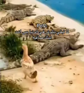 😂😂😂😂😂😂😂😂
