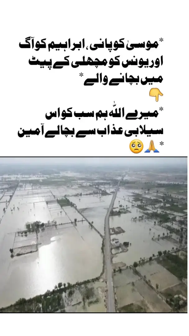 #12rabi_ul_awal #selab #worried #pray #pakistan @Rana Azeem 