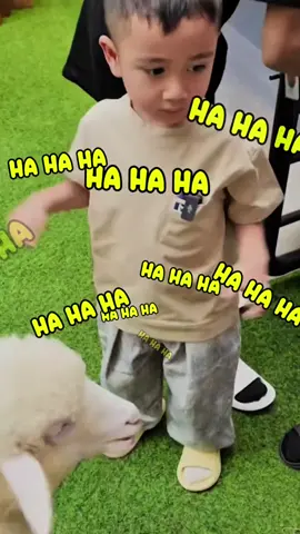 😂😂  #raffiahmad #nagitaslavina #rafathar #rayyanza #lily 