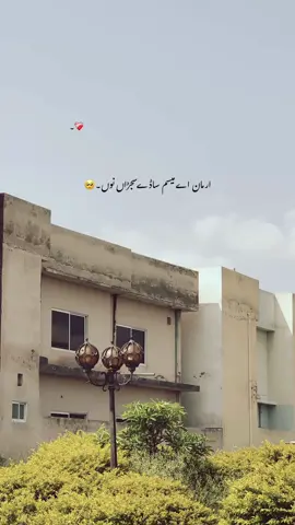 ارمان اے میسم ساڈے سجڑاں نوں۔🥺❤️‍🩹🍂 #foryou #foryourpages #poetry #aesthatic #poetrystatus 