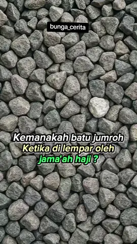 kemanakah batu jumrah ketika di lempar ? #fyp #infomenarik #informasi #lemparjumroh 