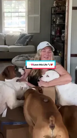 Love this life!🐾♥️🥰 #dogmom  #cutedog #doglife #cutedogvideos #funnydog 