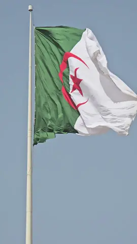 قسما بالنازلات 