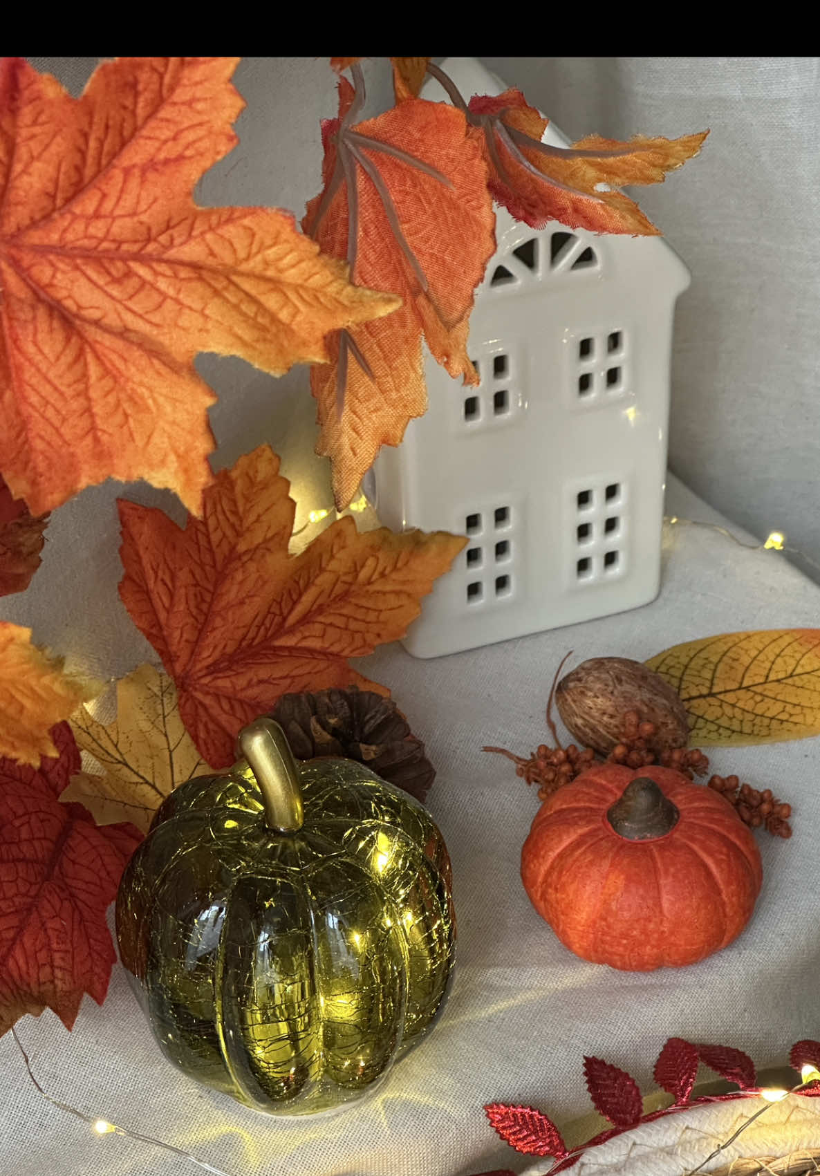 Les commandes de la collection d’automne sont toutes parties et ne devraient plus tarder à arriver dans vos boites aux lettres 🤭🍁 Merci pour votre confiance !✨ #fallvibes🍂 #autumn #fypシ゚viral🖤tiktok #collection #packorderswithme 