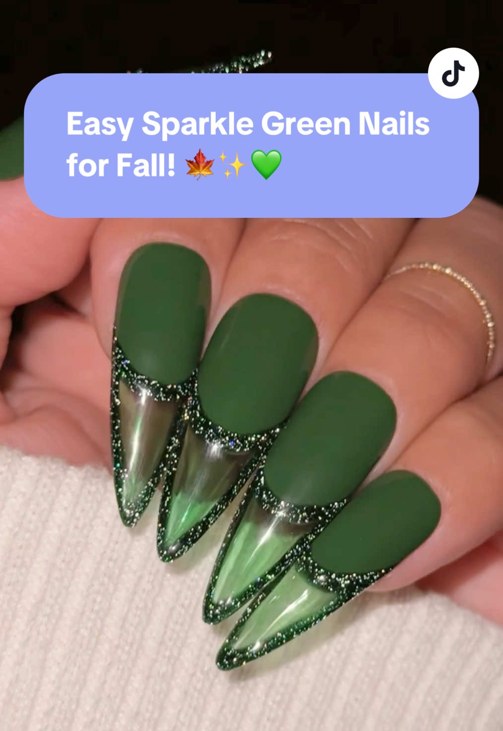 POV: You found the easiest sparkle green nails for Fall! 🍁✨💚  💅 Everything used for this look is from the brand Daily Charme & is listed below. All goodies are available now in our TikTok shop or via the 🔗 in bi0 💖 Save & share for autumn nail inspo!  Using @daily_charme: 💚 T07 Abs*nthe 🌲 702 Lost Forest ✨ H95 Twilight Zone 🖌️ 12 Art Liner Nail Art Brush 💎 Diamond Shine Top Coat 💅 Long Stiletto Clear Extension Tips #fallnails #greennails #holosparklenails #autumnnails #nailinspo         