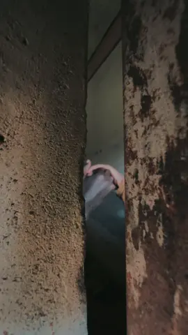 Caught in a dance with a shadow man. Will love light the way? 🖤 #ShortFilm #EchoesOfShade”#artofnoticing #naturetiktok @WhiteRaven🦅 @Buky🦋 #foryoupage 