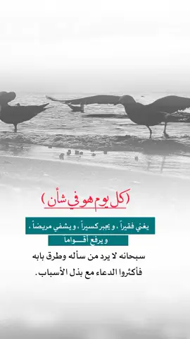 ‏( كل يوم هو في شأن ) ‏يغني فقيراً ، ويجبر كسيراً ، ويشفي مريضاً ، ويرفع أقواماً ..  سبحانه لا يرد من سأله وطرق بابه فأكثروا الدعاء مع بذل الأسباب#foryou #foryoupage #frypgシ 