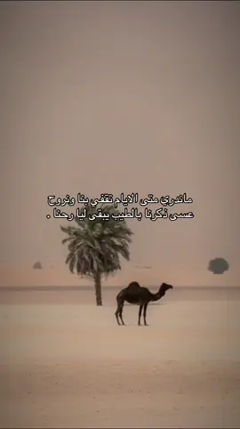 #اكسبلورexplore #explore #explore #fyp #foryou #بدون_موسيقى #قصيد 