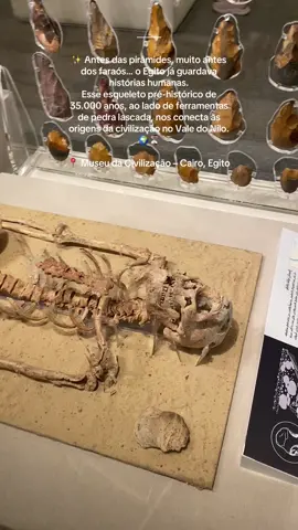 Antes dos faraós… já havia vida no Vale do Nilo! Esqueleto pré-histórico  de 35.000 anos atrás + ferramentas de pedra lascada 👉 as origens do Egito. 📍 Museu da Civilização – Cairo #mytravelnow #egito #cairo #civilizacao  #egitoantigo 