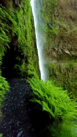 ENTOMBMENT OF PIG 🐷  Oregon #deathcore #metal #nature #waterfall #metalhead 