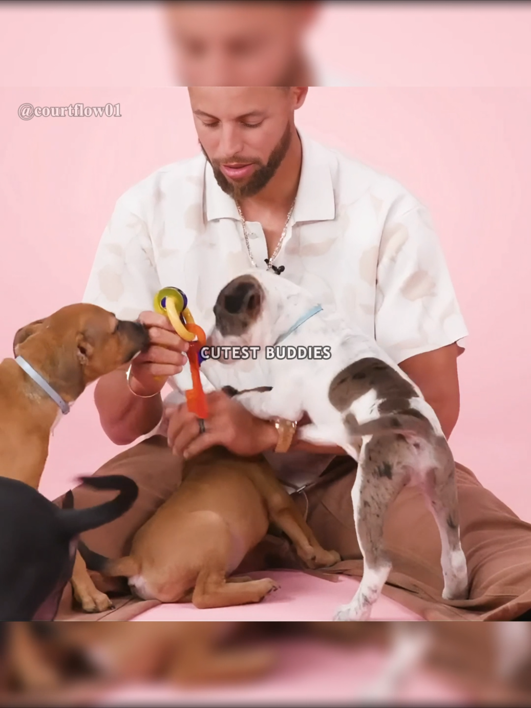 Cute Dogs_NBA 🏀🔥 #fyp #pourtoi #cutedog 