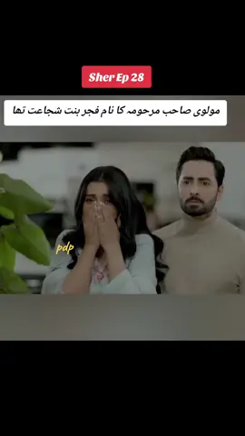 #pakdramapage #sher #arydigital #whattowatch #fyp 