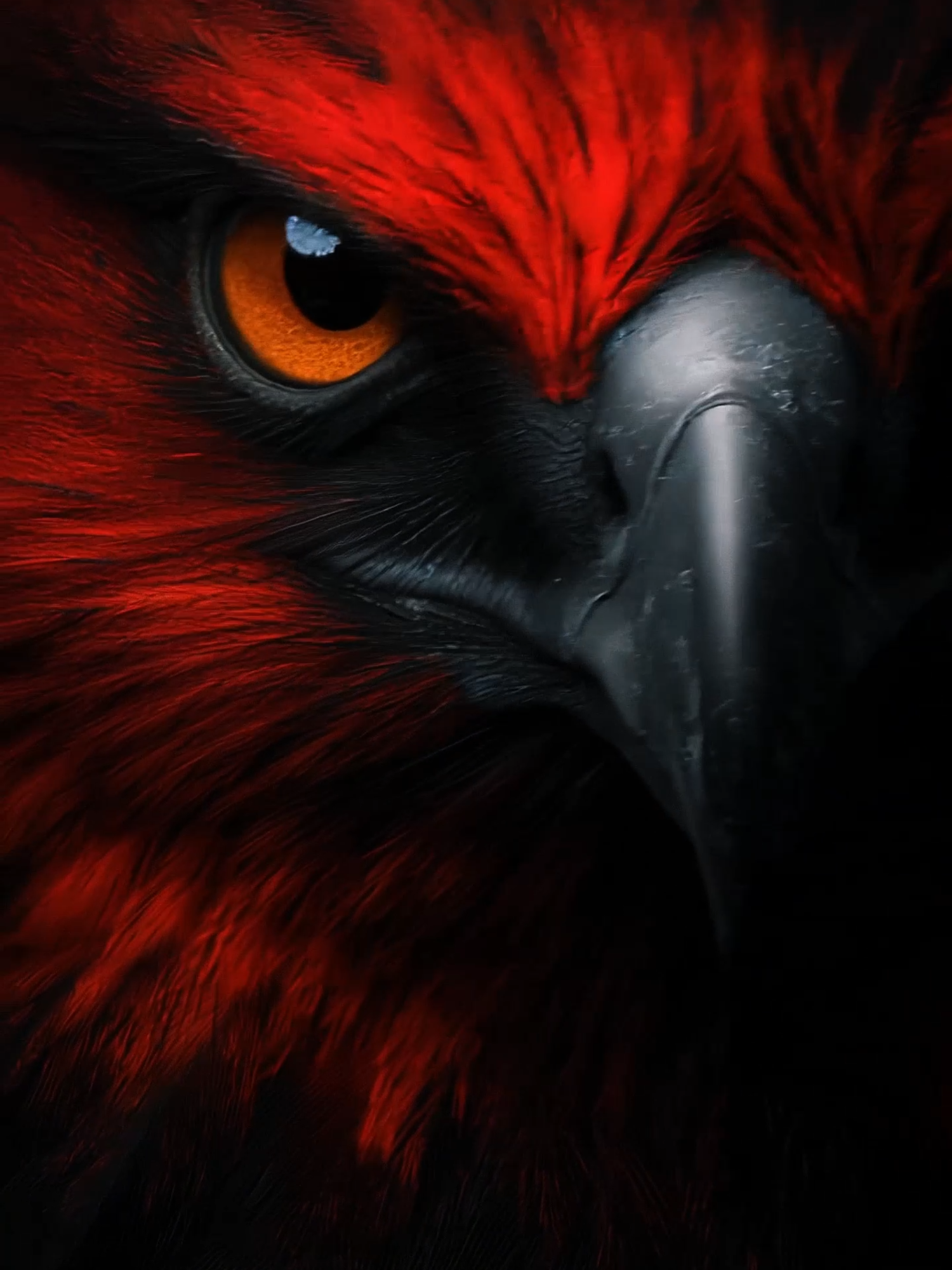 Live Wallpaper | The Crimson Eagle #eagle #birdofprey #livewallpaper #eagleeye #iseeyou #watching #lockscreen #huntervibes #aivideo #predatormode #wallpapervideo #phonewallpaper