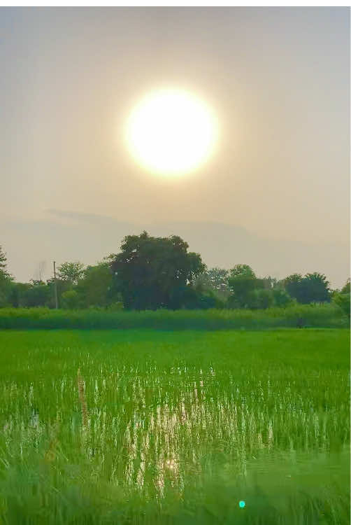 Village Evening #villagelife #rurallife 