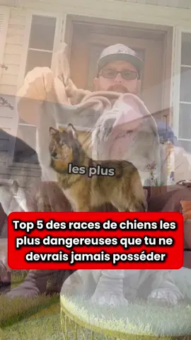 Voici les 5 chiens les plus dangereux au monde ! 🤯 #france #apprendresurtiktok #chien #rottweiler #pitbulls 