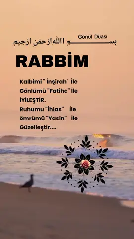 #keşfetteeyizzfyp #keşfetteeyizzfyp #keşfetteeyizzfyp #keşfetteeyizzfyp #keşfetteeyizzfyp 