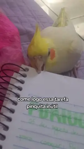 meio século para comer uma folha af💔 