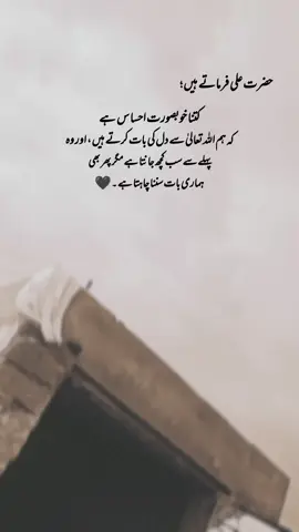hazrat Ali farmate Hai🖤 #1millionaudition #aesthetic #poetrystatus #foryou #foryoupage #fyp #deep_lines467 