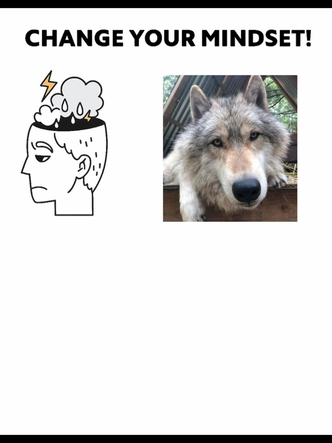 wolp mindset! awof :3 #wolf #wolfgirl #mindset