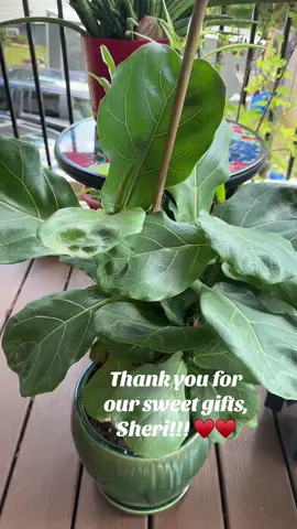 Thank you, Sheri, for our beautiful gifts!! 🥰🥰🥰. #gifts #thankyou #friends @SheShe 💜 