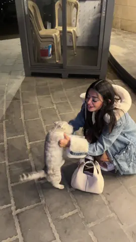 اقنعوا حبيبي آخذها معي عالبيت 😭🥹#اكسبلور 