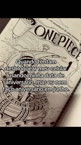 Respondendo a @Gigi junho  mês do meu niver #aniversario #animeedit #fy #onepiece 