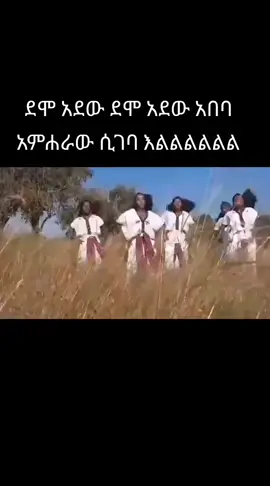 #አምሀራ_ነቴኩራቴ_ኢትዮጵያ💚💛❤✔✊✅ #አማራዬ💚💛❤አማራዬ💚💛❤️🐅ፋኖ❤️🐅የኔ #fypシ゚viral🖤tiktok☆♡🦋myvideo #ፍቅር➻ብቻ🖇ፍቅር➻ብቻ❤🥀🔐🦋👑ፍቅር➻ብቻ🖇 #creatorsearchinsights 