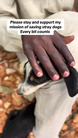 Donation you make today small or big helps alot to make our days brighter at the shelter  #Amealmeansasecondchance  #Donatetodayfortomorrow  #Asharecommentandalikehelps  🐕❤️🐕❤️