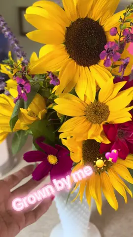 #autumn #🍂 #harvest #sunflowers #cosmos #russiansage #roses #joy #bouquet #frommygarden 