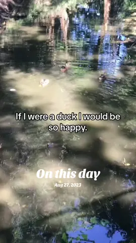 #onthisday