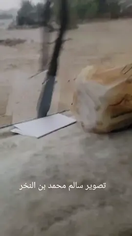 لقنة/دفيش#ريدة المعارة