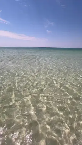 #panamacitybeach #pcb #panamacitybeachflorida #viralvideo #viraltiktokvideo 