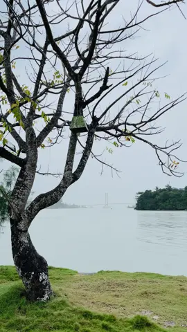 — serenity #kendari #hujan #laut 