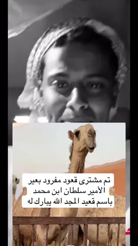 #قعيد #قعيدالمجد #قعيدالمجد🇸🇦 