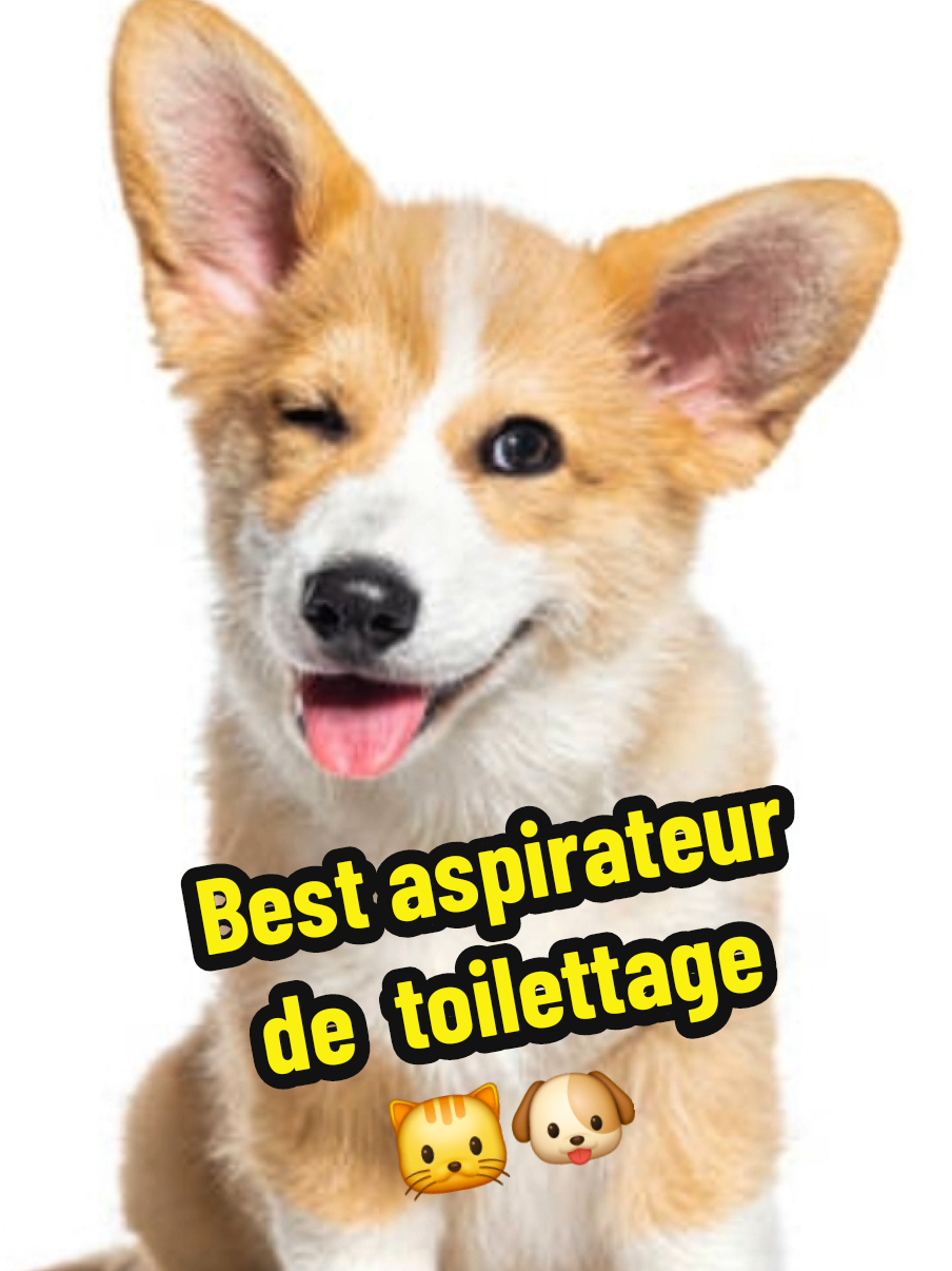 Best Aspirateur toilettage 🐶🐱 #TikTokMadeMeBuyIt #AmazonFinds #TikTokShopping #TrendingNow #TikTokPets     