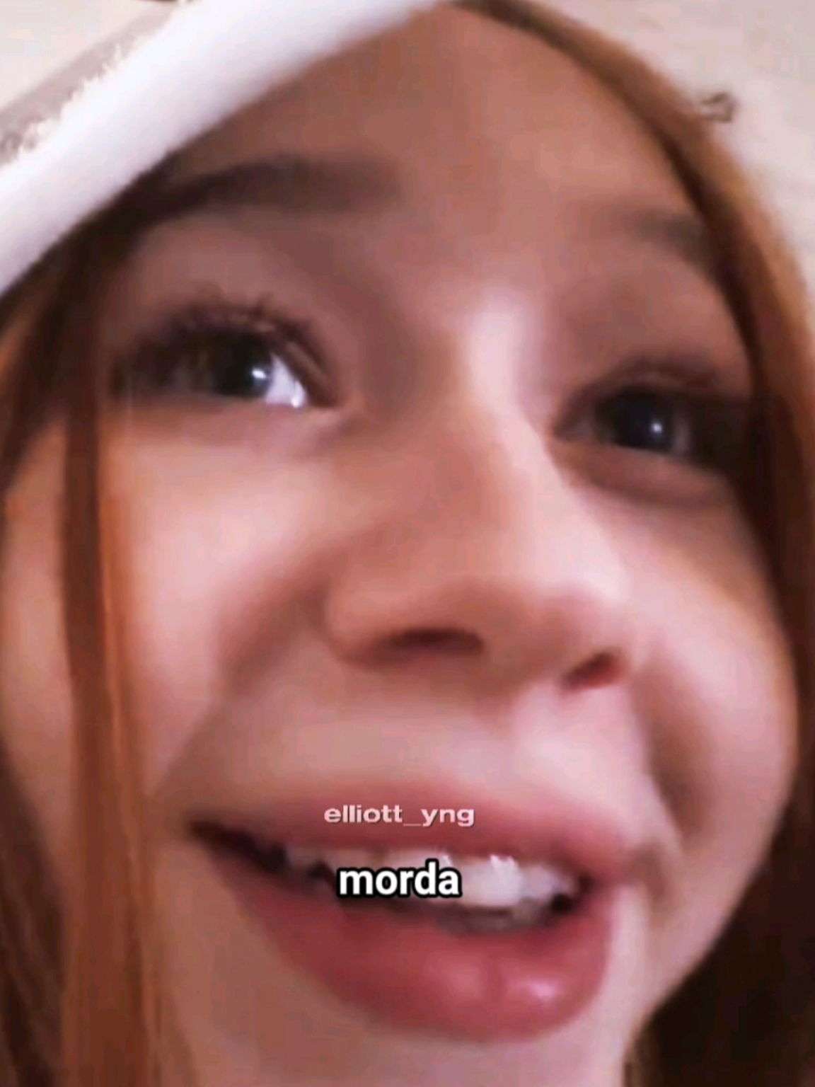 morda #morphe #morphe_ya #морфи 