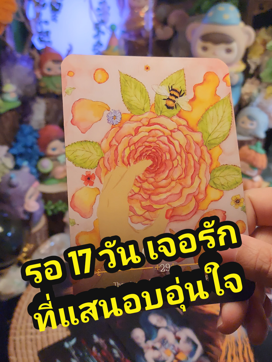 #โสด #สายมู #ดูดวง #ความรัก #แม่หมอปลั๊กกี้ 