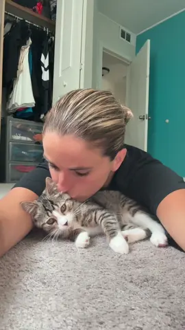 r u kidding😭 #KittensOfTikTok #KittenLove #KittenLife #KittenObsessed #CuteKittens #KittensOfTheWorld #KittensOfInstagram #KittensDaily #TinyKittens #KittensForDays #MeowTok #CatTok #KittenCuteness #FluffyKittens #KittensAreLife #KittenVibes #KittenGram #KittenSoft #KittensGalore #KittensWorld #KittensPlay #KittensRule #KittensOverload #PurrfectKittens #KittenMood #KittenAddict #KittensOnTikTok #KittenCommunity #KittensRock #KittenCorner