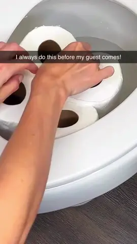 🤣🤣 #guest #bathroom #toiletpaper #funnytiktok #memestiktoks 