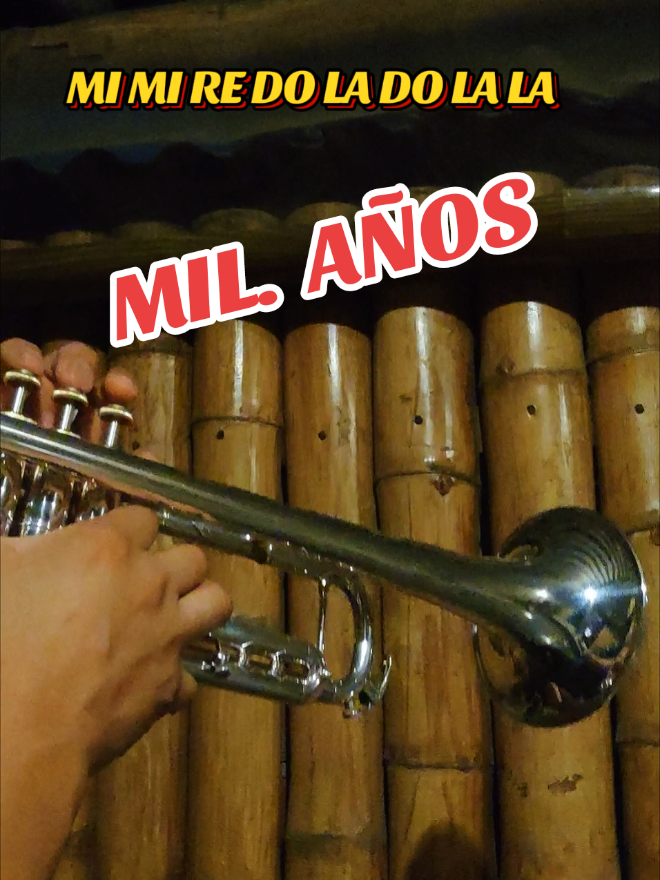 Mil Años #musicosentiktok #bandasdemusica #trompetistas #viraltiktok 
