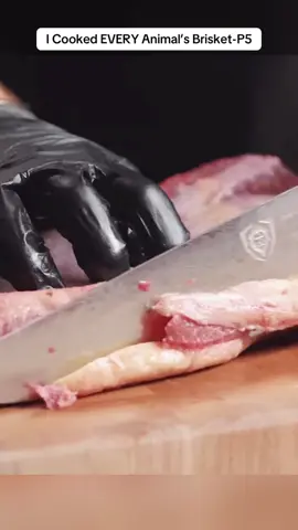 I Cooked EVERY Animal’s Brisket-P5 #Brisket #Cooked 