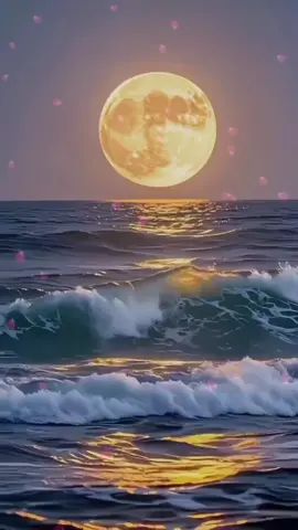 #شيخ