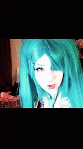 lol my kitty in the backgroud!! #vocaloid #miku #hatsunemiku #cos #cosplay 