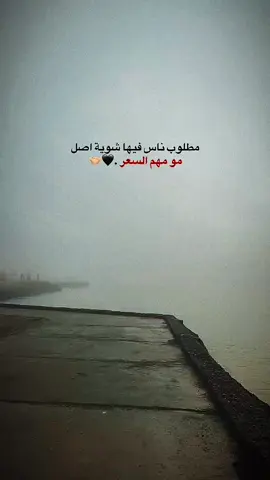 مطلوب ناس فيها شوية اصل  مو مهم السعر .🖤🤝🏻#اعادة_النشر🔃 #عباراتكم_الفخمه📿📌 #اكسبلور #txlw01 #fyp 