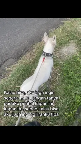 #xybca 