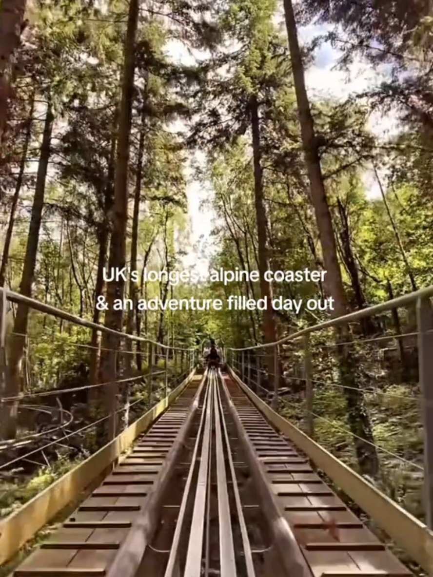 ad l The Fforest Coaster is one of six activities on offer at this location, and you can book onto whichever ones suit your family to create an adventure filled family day out.  You can expect :  🌟 Fforest Coaster - hop aboard the UK’s longest alpine coaster and embark on an unforgettable woodland experience as you weave and speed at 25mph through the trees. You have control of the brakes, so you can go as fast (or slow) as you like!  🌟 Treetop Nets - a giant bouncy adventure for the whole family. Explore multiple areas, zoom down slides, dash round the walkways and bounce to your heart’s content. 🌟 Tree Hoppers - an exciting treetop adventure course, which will have you zipping and climbing through the Welsh woodland. 🌟 Zip Safari - conquer zip lines, balance beams, suspended stepping stones and more  🌟 Plummet - ascend the steps of this 100ft tower and take your place on the trapdoors before dropping to a freefall  🌟 Sky Ride - buckle in and prepare to be hoisted 24m in the air on this adrenaline-inducing, giant 5-seater swing!  🌟 Tiny Trek - small but mighty treetop adventure for tots with zip lines and fun obstacles  🩷 There are Zip World sites across the UK with different activities, we visited this one to experience the Fforest coaster. Check their website for which activities are available at each site before you book 📌 Zip world, Betws-y-Coed  #dayoutwithkids #Wales #northwales #forestcoaster  