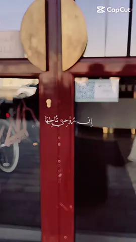 #الخبر #العقربية_الخبر #فطور صباحي 