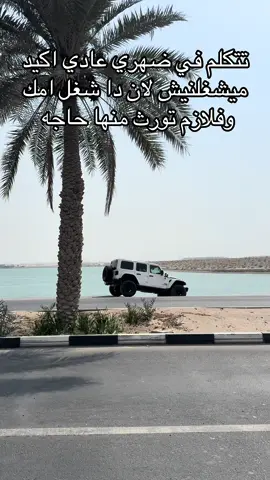 #ميشغلنيش #تصويري 