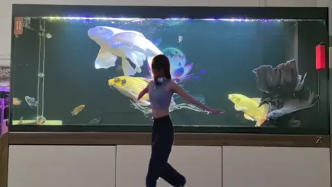 #tiktokgiaitri #xuhuongtiktok #xuhuongfacebook #giaitri #cácảnhđẹp #mêcácảnh #xuhuong #tiktok #cácảnh #cá #fpy #shortbodyfish #cachepphitan #cacanh #cachepsutu #cachepphitanvip #facebook #cacanhanhsaomai #chepsutu #nghechuchot #viralvideo #LearnOnTikTok #cachepsutuvip #carong #arowana #caloc #cakieng #trend #ott #phitan #cáchépsưtử #chépsưtử #chépsưtửtrắng #thuysinh #guppy #betta #aquarium #locnuoihoca